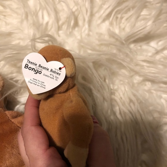RARE Bongo Ty 1995 Errors, Beanie Babies Mint. Condition - Picture 10 of 10